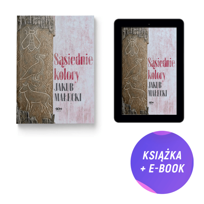 Pakiet: Sąsiednie kolory + e-book (książka + e-book)